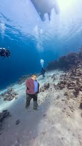 Image result for York University Sub Aqua Club