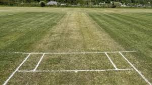 Image result for Buscot Park Cricket Club