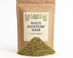 Attēlu rezultāti vaicājumam “Galium album”