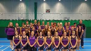 Image result for Wombles Netball Club