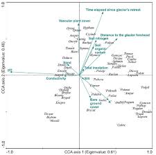 Attēlu rezultāti vaicājumam “Isopaches bicrenatus”