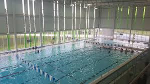 Image result for York University Pool Club