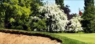Image result for St Neots Golf Club