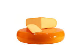 Image result for trappista