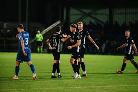 Image result for Ballinamallard United Football Club