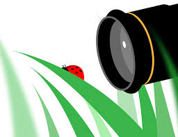 Attēlu rezultāti vaicājumam “macro”