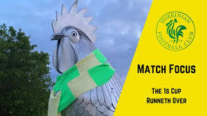 Image result for Dorking Football Club Limited