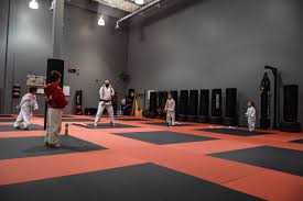 Image result for Martial Arts London
