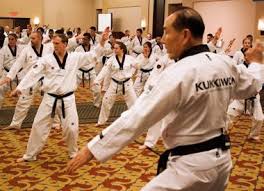Image result for Ndm Martial Arts