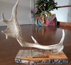 Image result for Walton Chasers Orienteering Club