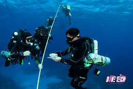 Image result for innerspace divers