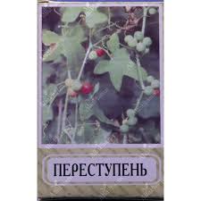 Attēlu rezultāti vaicājumam “Bryonia alba fruit”