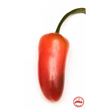 Afbeeldingsresultaat voor biker billy jalapeno hot pepper