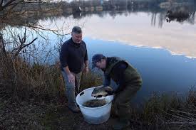 Image result for Runnymede Angling Association
