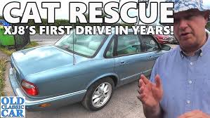 Image result for Minstrel Blue 1998 Jaguar