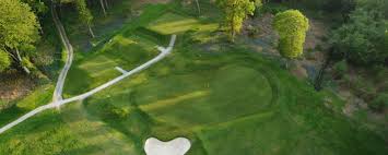Image result for Brokenhurst Manor Golf Club