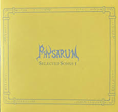 Attēlu rezultāti vaicājumam “Physarum album young”