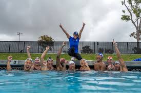 Image result for Selby Tiger Sharks Swimming Club