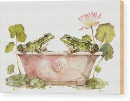 Image result for Bath Amphibians
