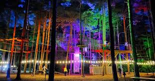 Image result for The Go Ape Experience (Swinley Forest)