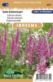 Image result for Blutweiderich