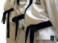 Image result for I T F Taekwondo (Andover)