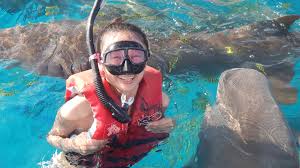 Image result for Darwen Snorkelling Club