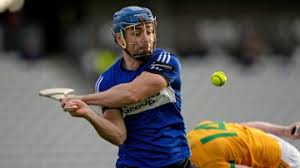 Image result for Sarsfields Hurling Club