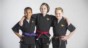 Image result for Kidderminster Martial Arts Academy