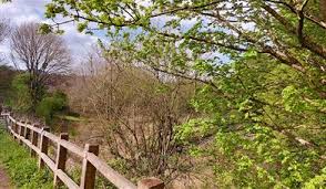 Image result for Haden Hill Badminton Club