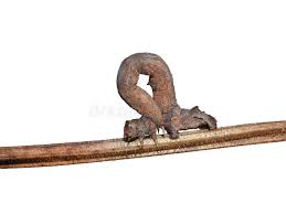 Attēlu rezultāti vaicājumam “Crocallis elinguaria imago”