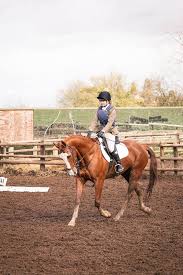 Image result for Uwe Riding Club