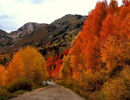 Image result for $$fall_akte__ort$$