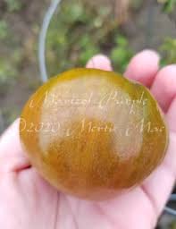 Afbeeldingsresultaat voor marizol purple tomato