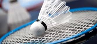 Image result for Rydekings Badminton Club