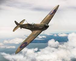 Image result for Hampshire Spitfires Finswimming Club