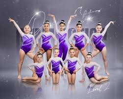 Image result for Elite Recreational Gymnastics Club