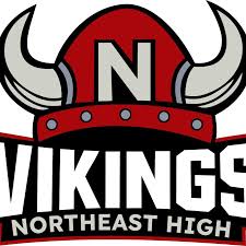 Image result for North East Vikings