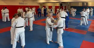 Image result for Renrukan school of continuous attack