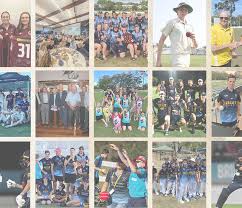 Image result for Roding Valley Cricket Club