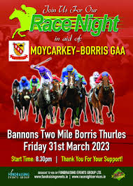 Image result for Moycarkey-Borris Gaa Club