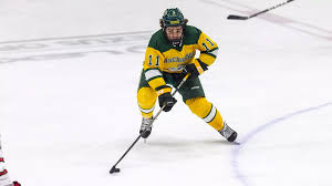 Image result for Adur Skater Hockey Club