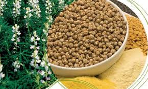 Image result for Lupinen