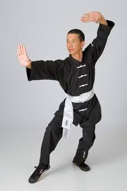 Image result for kung fu