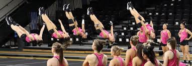 Image result for Pegasus Trampoline Club