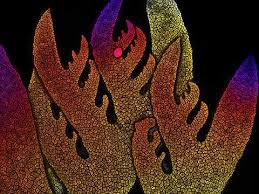 Attēlu rezultāti vaicājumam “Didymium clavus”