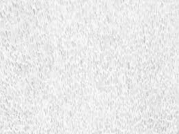 Image result for white rabbit skin texture