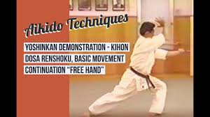 Image result for Goryukai Aikido Yoshinkan (Chichester)