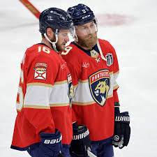 Image result for Pentland Panthers