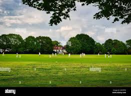 Image result for Hayfield Cricket Club
